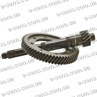 Главная пара  Сенс